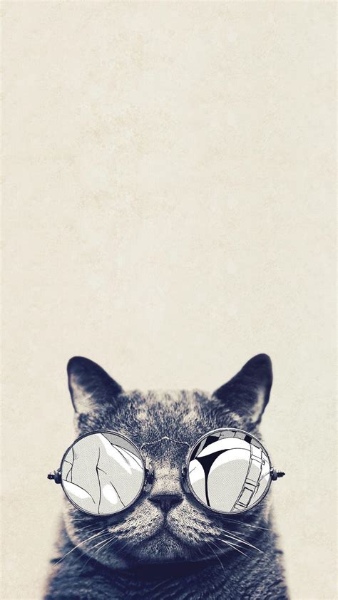 Cat iPhone Wallpapers - Top Free Cat iPhone Backgrounds - WallpaperAccess