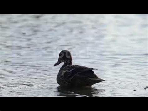 Качка. - YouTube