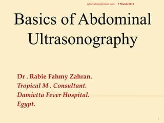 Basics Of Abdominal Ultrasonography Ppt