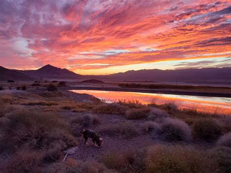 Naked Capitalism Finance Economics Politics Power Page Of