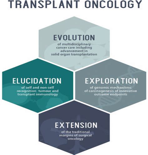 Transplant Oncology In Primary And Metastatic Liver Tumors Annals Of Surgery