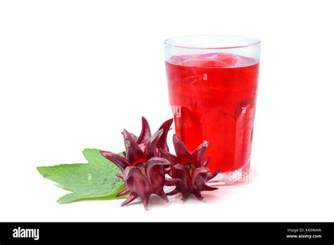 What Is Roselle Juice And What Does It Taste Like 49 Off