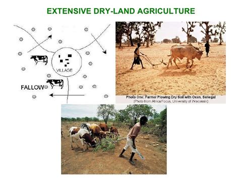 Types of Agriculture