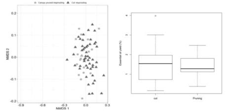 Figure A Dendrogram Showing The Grouping Of Leaves Branches And