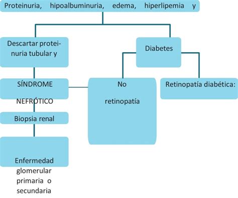 Tema Trastornos Glomerulares S Ndrome Nefr Tico Y S Ndrome Nefr Tico