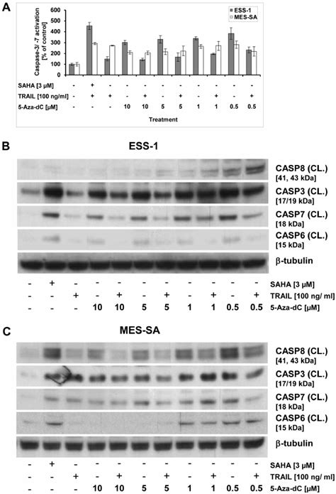 Reactivation Of Apoptosis Through Dna Demethylation By 5 Aza Dc In Download Scientific Diagram