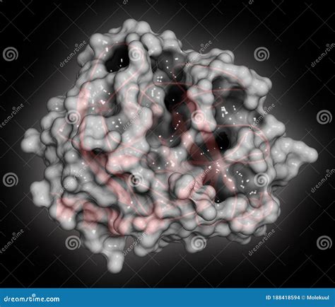 Trypsin Digestive Enzyme Molecule (human). 3D Rendering Stock Illustration - Illustration of ...