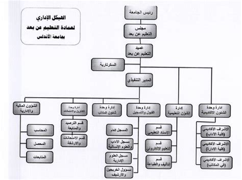 جامعة الاندلس للعلوم التقنية كلية عن بعد الهيكل التنظيمي