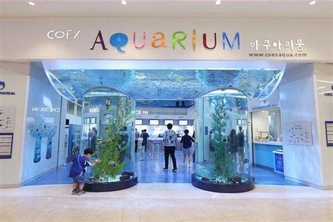 Tickets und Touren - COEX Aquarium, Seoul - Viator