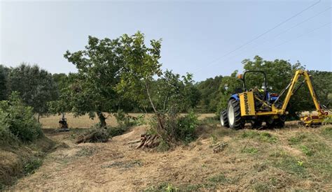 Actualités Communauté de communes Pays de Forcalquier Montagne de Lure