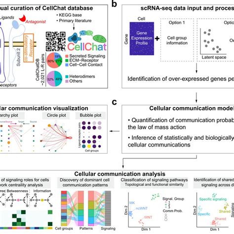 Pdf Inference And Analysis Of Cell Cell Communication Using Cellchat