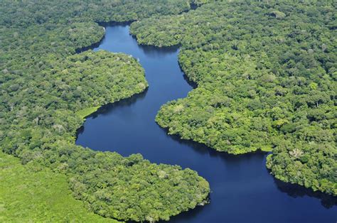 Cuál es el río más largo del mundo Belleza estética