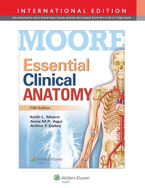 Medical Books Free Essential Clinical Anatomy 5th Edition By Dr Keith