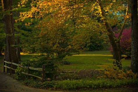 Fotos Gratis Paisaje Rbol Agua Naturaleza Bosque Al Aire Libre