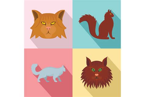 Maine Coon Cat Profile Icons Set Flat Style By Anatolir Thehungryjpeg