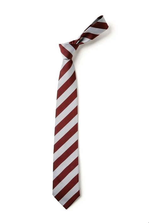 School Uniform Tie at Rs 30/piece | School Tie in Rajkot | ID ...