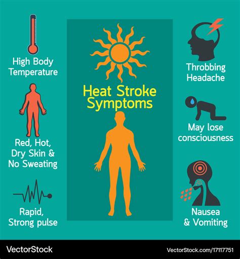 Heat Stroke Infographic Royalty Free Vector Image