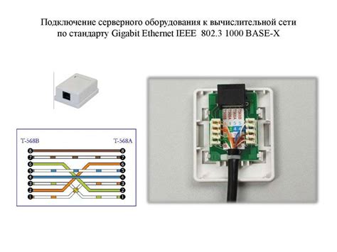 Подключение интернет розетки 3 ошибки Схема подключения по цветам