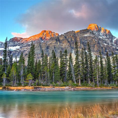 Bow Lake on sunrise stock photo. Image of valley, banff - 115492928