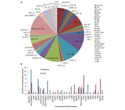 Transcription Factor Analysis A Distribution Of Transcription