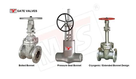 Stainless Steel Gate Valves Exporters From Gujarat India