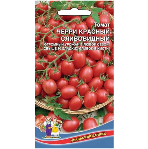 Томат Черри красный сливовидный «Уральский дачник» 🏆 – купить семена в ...
