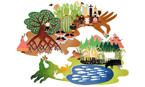 ecological civilization