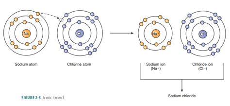 Chloride Ion Number Of Protons And Electrons