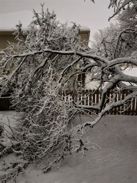 PHOTOS: Snow makes Kansas City a winter wonderland