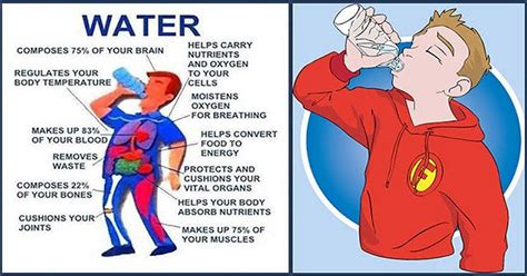 Encouraging Reasons Why You Should Drink Water After Waking Up Dr Farrah Md