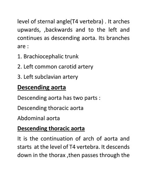 SOLUTION: Aorta and branches - Studypool