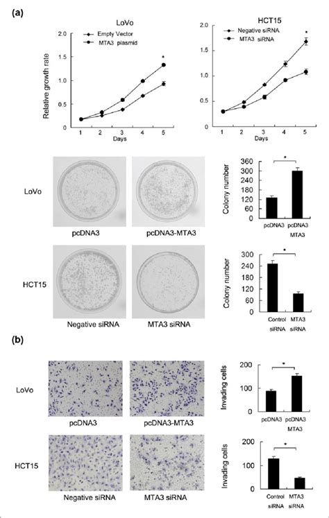 MTA3 Promotes CRC Cell Proliferation And Invasion A MTT Assay Showed