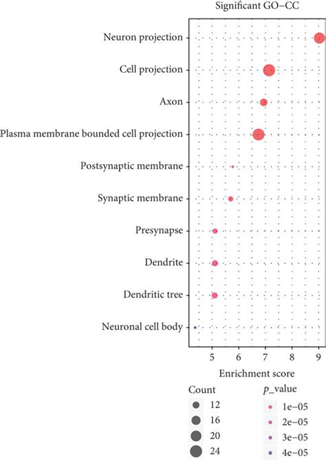 GO and KEGG enrichment analysis results of DEGs for the substantia... | Download Scientific Diagram