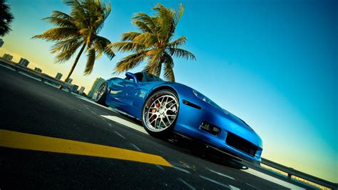 Cars palm trees chevrolet corvette z06 blue wallpaper | (124159)