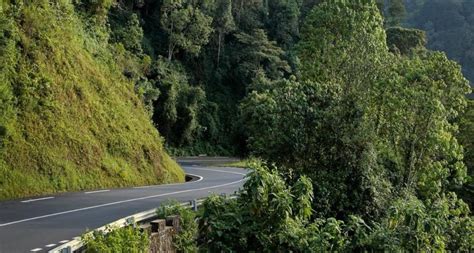 Cómo llegar al Nyungwe por carretera y transporte aéreo