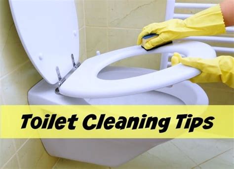 The Unappreciated Importance of Regular Toilet Cleaning - Home Ec 101