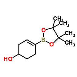 1310384 24 7 CAS号 1310384 24 7 4 4 4 5 5 四甲基 1 3 2 二氧硼杂环戊烷 2 基 环己 3 烯醇