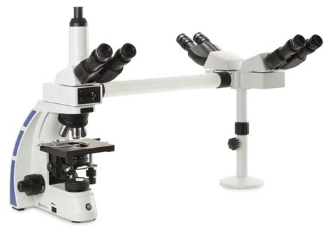 Euromex Oxion Fullerscope