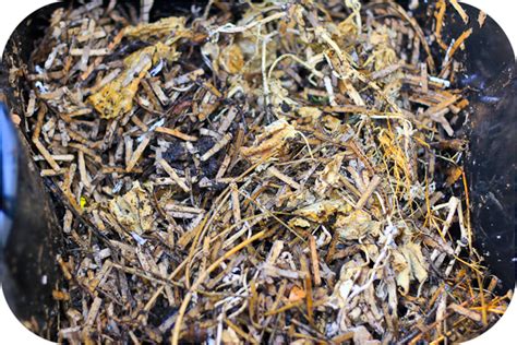 tiny plot: Use A Paper Shredder To Make Compost For Your Garden