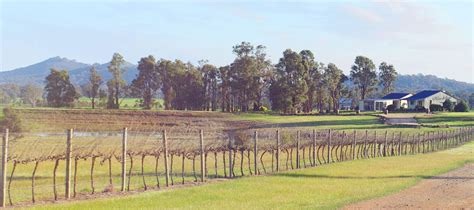 Mudgee Wineries and Vineyards. Cellar door visits and wine tasting tours.