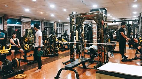 Top 6 Phòng Tập Gym Quận 8 Giá Rẻ Chất Lượng 2022