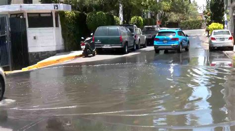 Vecinos De La Colonia Miguel Hidalgo En Tlalpan Denuncian Brote De