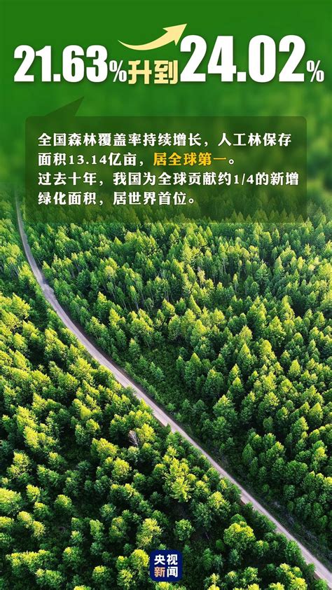 首个“全国生态日”来了！一组数据带你看美丽中国新画卷 关注森林