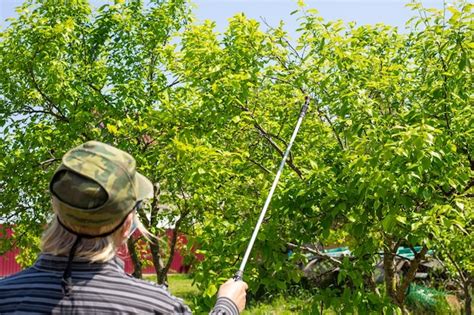 Premium Photo Spraying Plants In The Garden The Gardener Processes