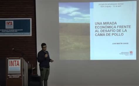 Una Mirada Desde Lo Econ Mico Frente Al Desaf O De La Cama De Pollo