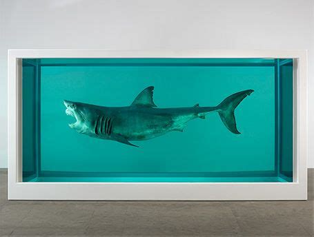 Damien Hirst, Shark, Gallery, Artwork, Animals, Work Of Art, Animales, Roof Rack, Auguste Rodin ...