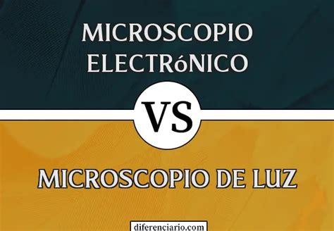 Constructor Literalmente Sin Cabeza Diferencias Entre Un Microscopio