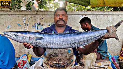 KASIMEDU SPEED SELVAM BIG SIZE AARAKOLA FISH CUTTING VIDEO 4K