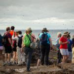 Viajar en Crucero a las Islas Galápagos desde Arabia Saudita