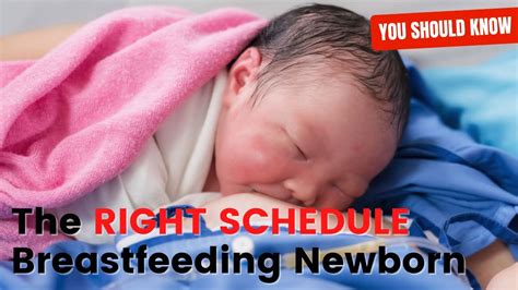 The Right Schedule For Breastfeeding When Mother Have Just Given Birth